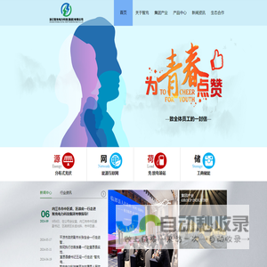 浙江智充电力科技（集团）有限公司