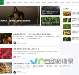 新三农 - 发展农业，建设农村，服务农民