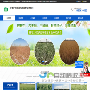 沙枣树_柽柳苗_沙棘苗-甘肃广恒源苗木专业合作社
